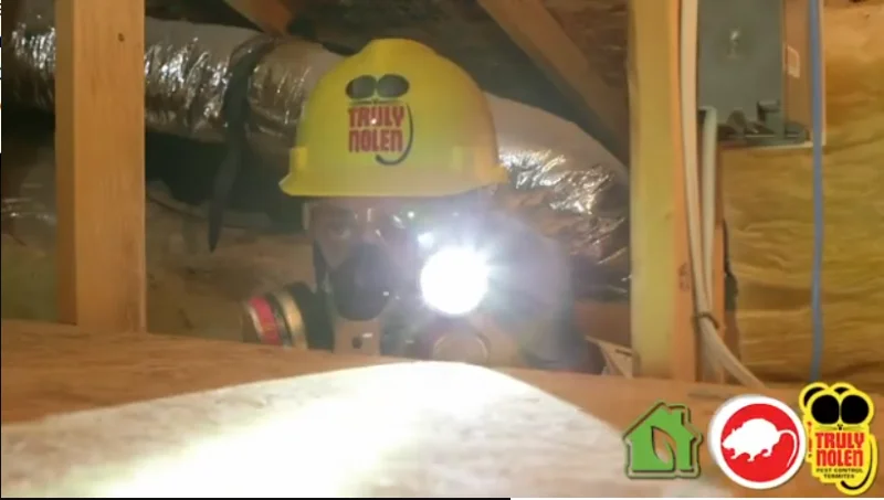 Pest management service by Truly Nolen Pest Control in Tucson