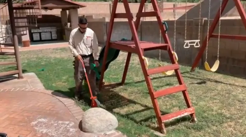 Pest control for residential and commercial properties by AZ Pest Control in Tucson