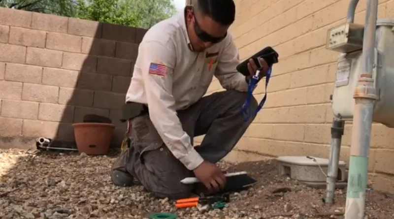 Pest control treatment by AZ Pest Control in Tucson