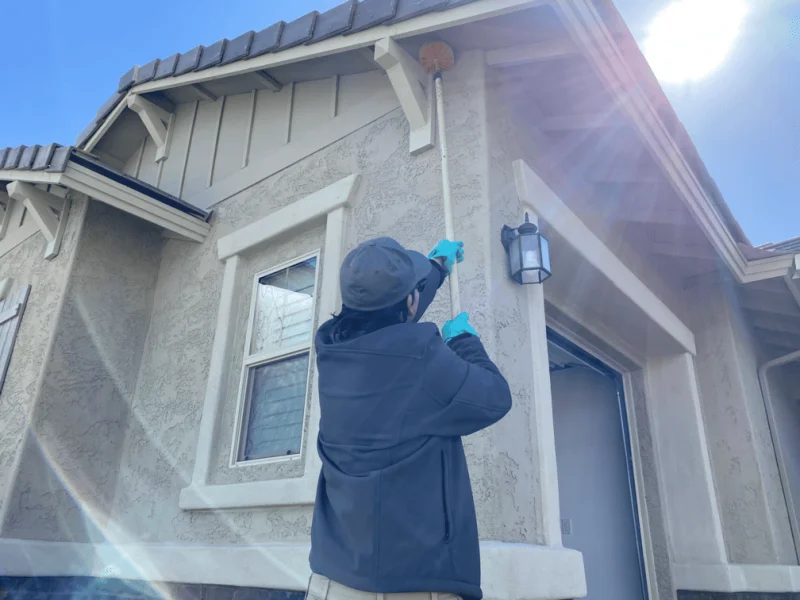 Residential pest control by Green Home Pest Control in Tucson