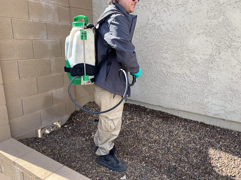 Pest control service by Green Home Pest Control in Tucson