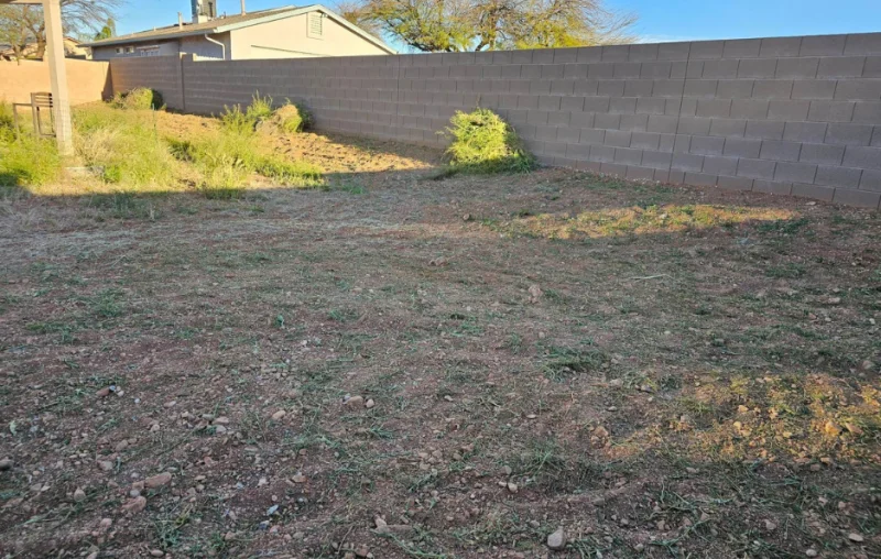 Weed removal and prevention by Centurion Landscaping in Tucson