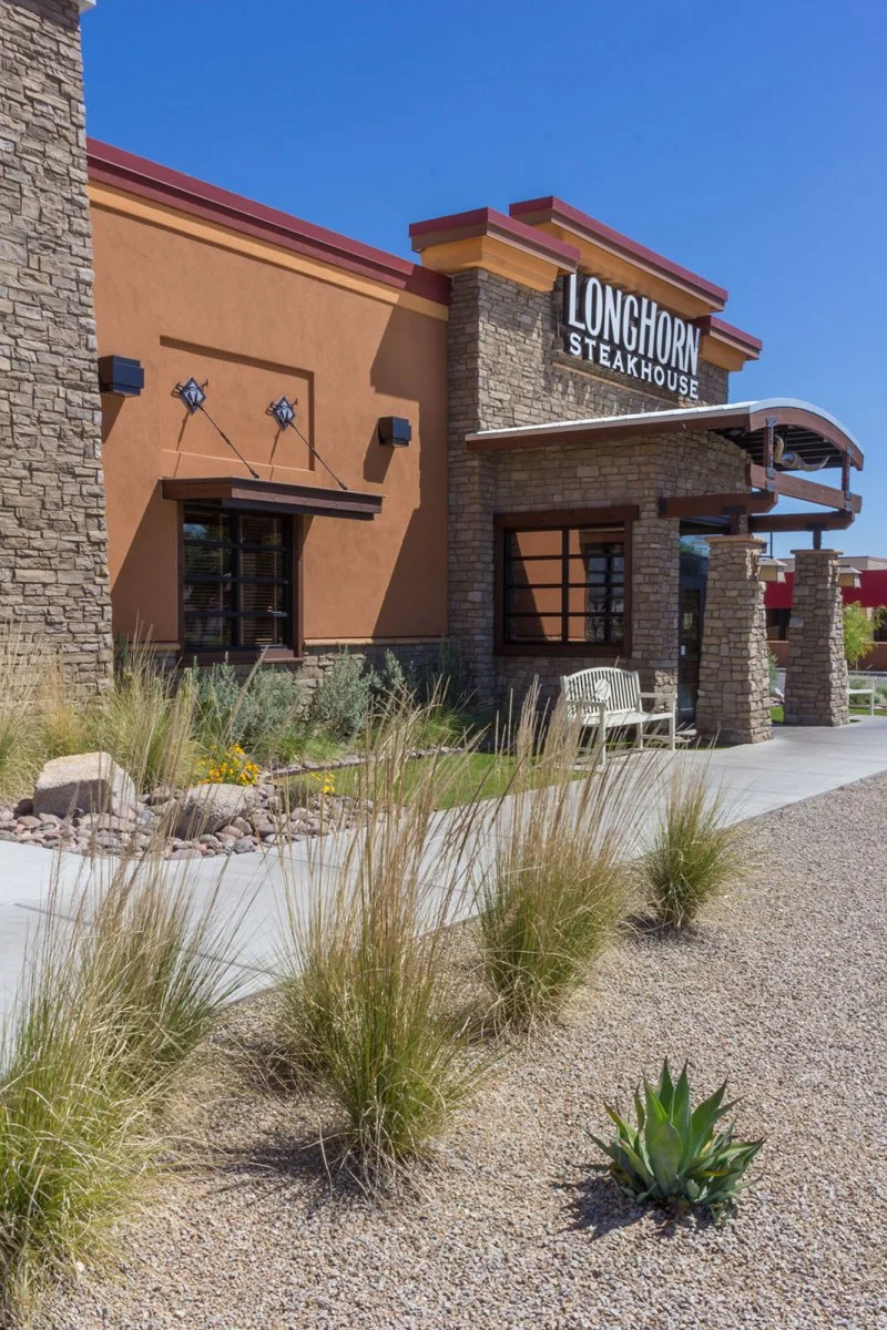 Landscape improvements by Landtamers Landscaping in Tucson