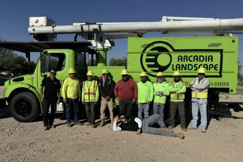 Tree services by Arcadia Landscape in Tucson